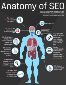 Why is SEO important for your business